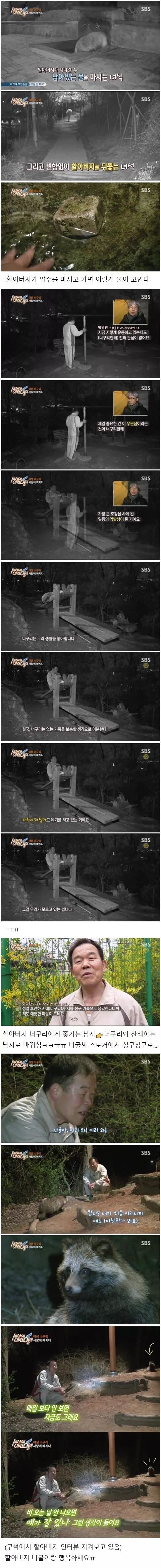 너구리에게 쫓기는 아저씨