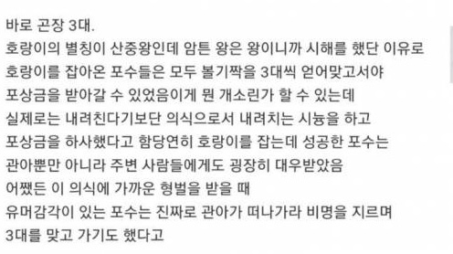 조선시대 호랑이를 잡으면 받게되는 것