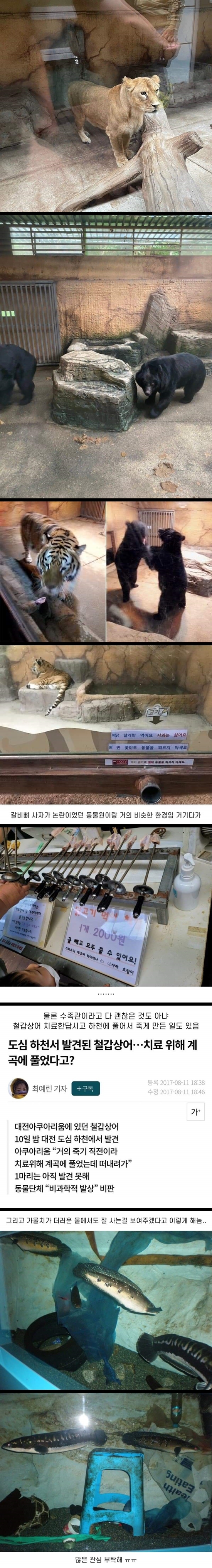 대전 아쿠아리움 상황