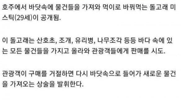 물물교환하는 돌고래