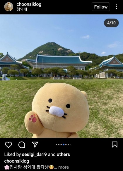 요즘 인스타 인싸들 근황
