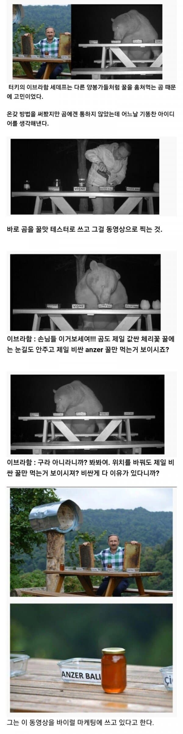 털빨로 귀여움을 받는 동물