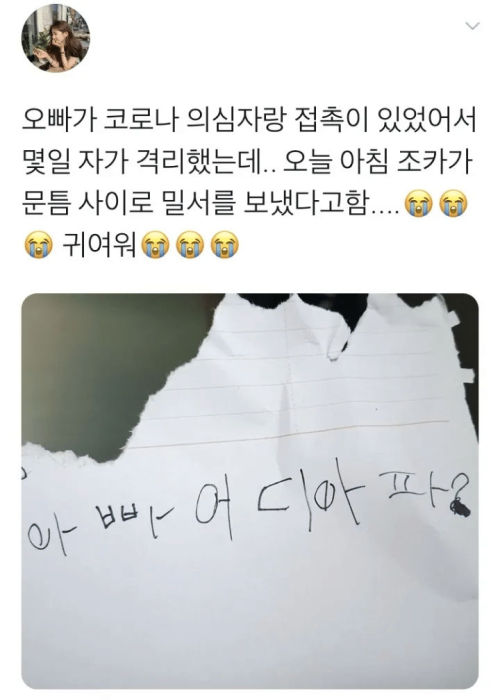 코로나 확진돼서 격리된 누나에게 차려준 남동생표 밥상