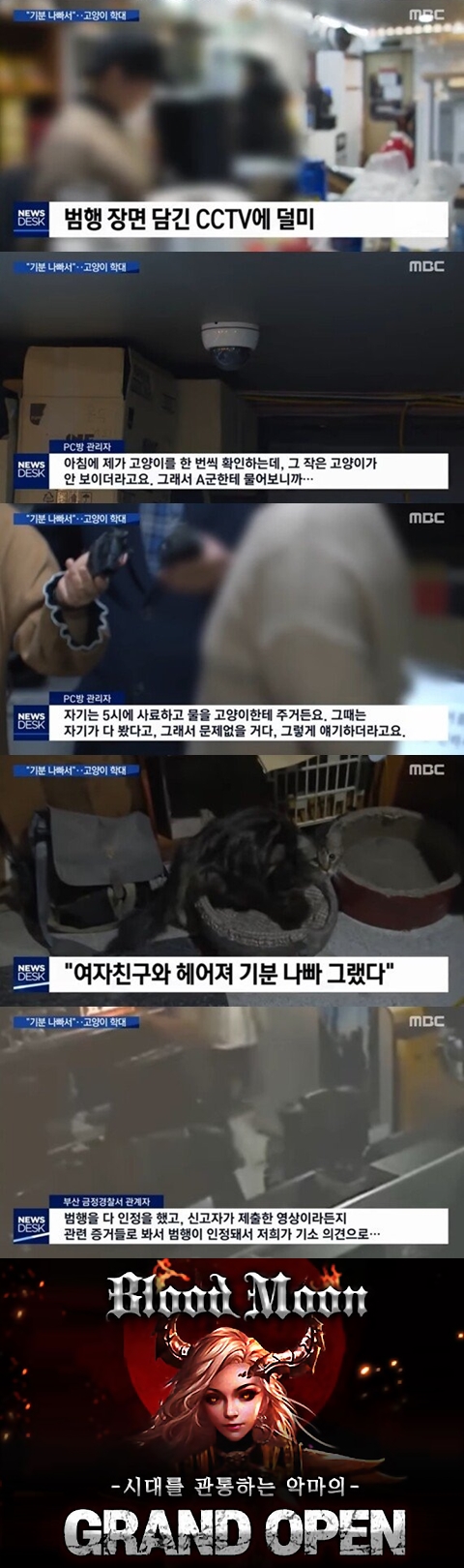 새끼고양이를 죽여 3층에서 던진 피씨방 알바