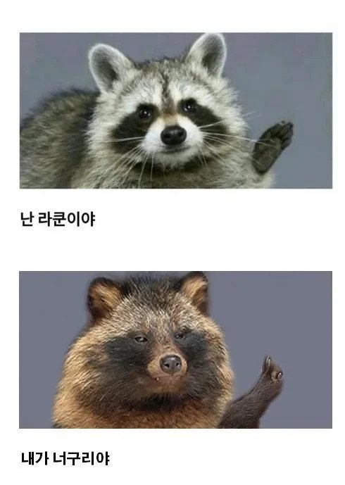 요즘 한강에 자주 보인다는 생물