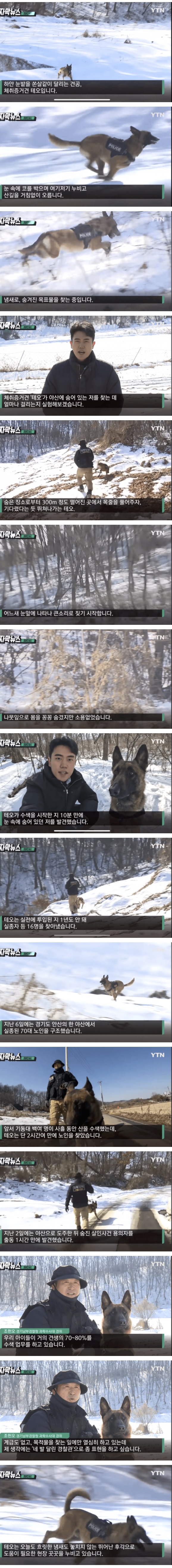 실종자 찾기 달인