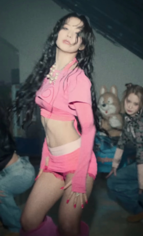 핑크돌핀 입은 슬기