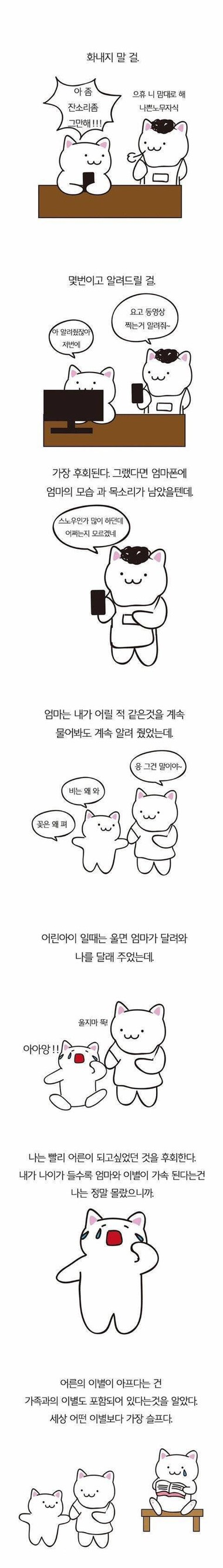 엄마가 돌아가셨다