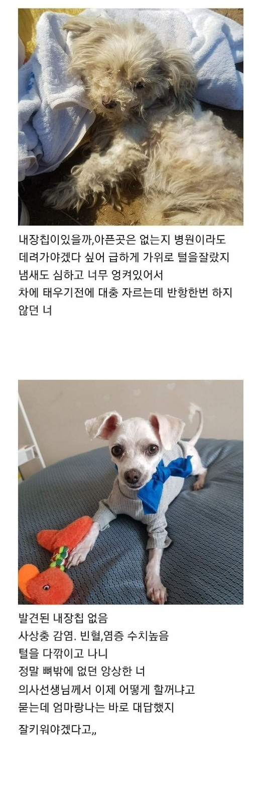 텃밭에서 시작된 인연