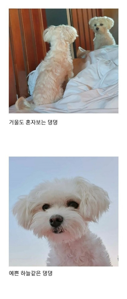 텃밭에서 시작된 인연