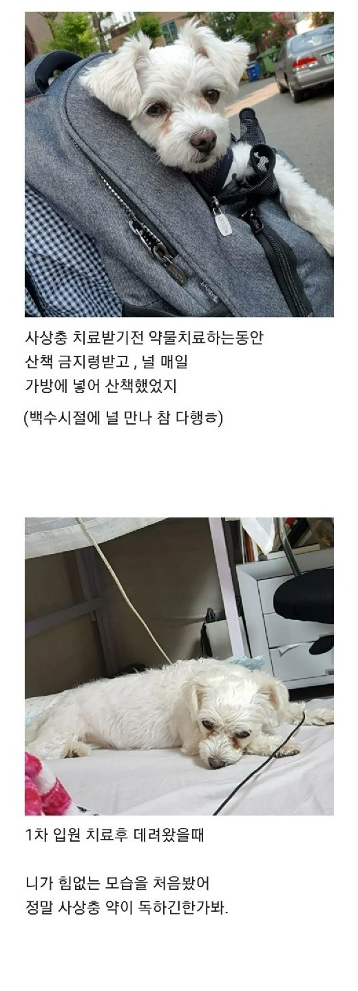 텃밭에서 시작된 인연