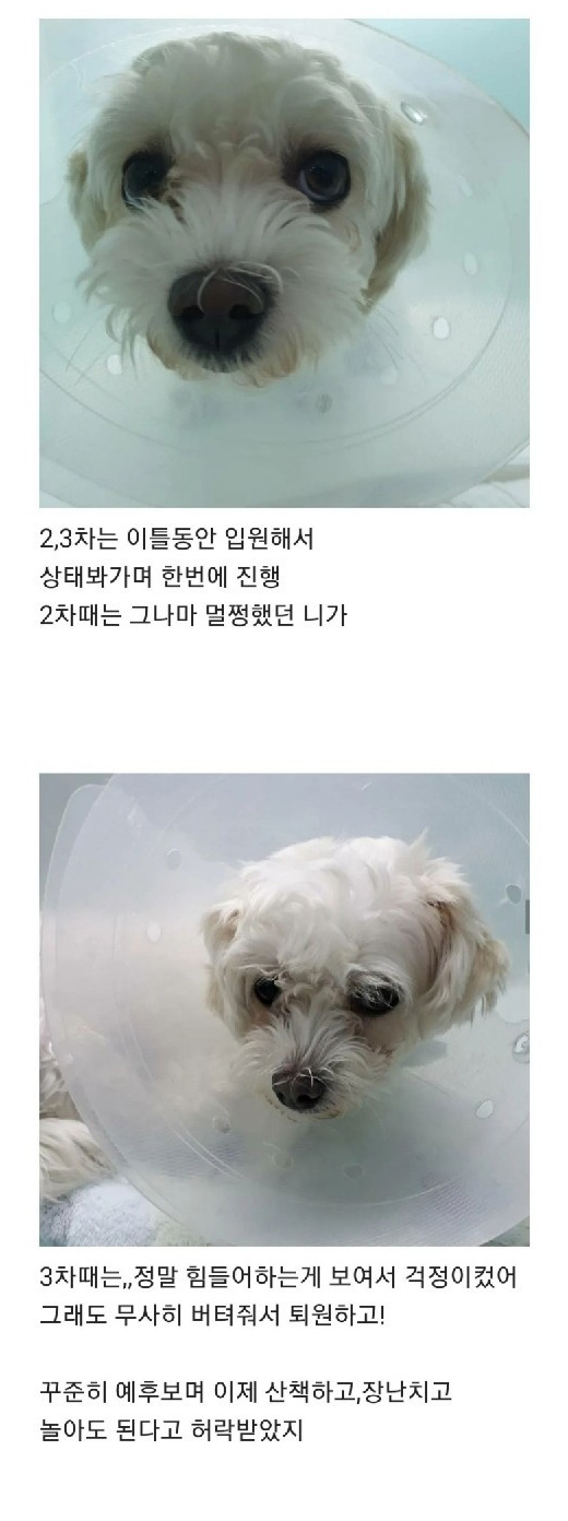 텃밭에서 시작된 인연