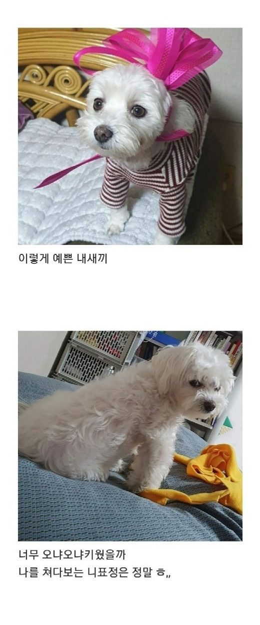 텃밭에서 시작된 인연