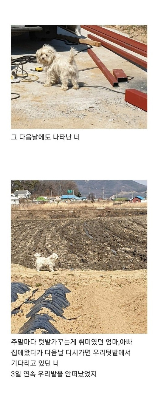 텃밭에서 시작된 인연