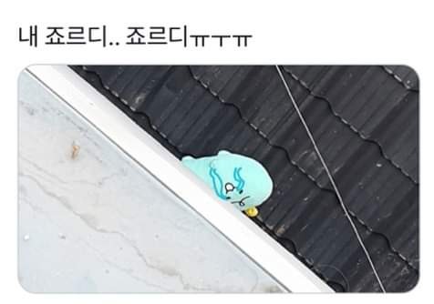 당근마켓에 나타난 강태공