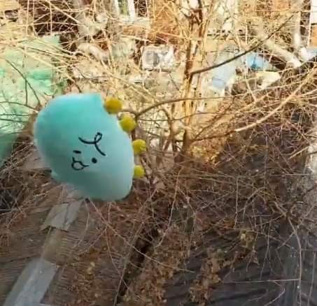 당근마켓에 나타난 강태공