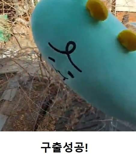 당근마켓에 나타난 강태공