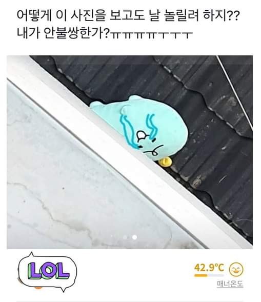 당근마켓에 나타난 강태공