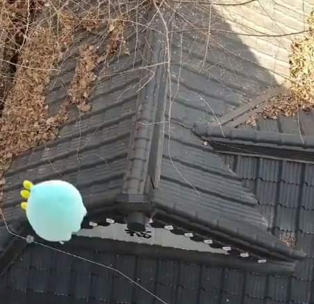 당근마켓에 나타난 강태공