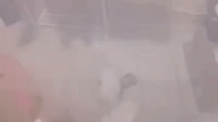 안 자고 놀다가 딱걸린 댕댕이