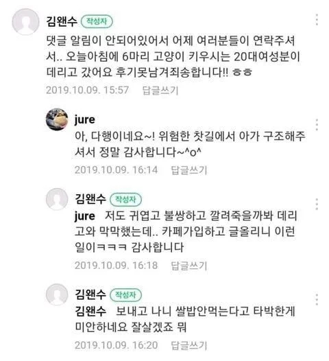 길가다 제차로 죽일뻔한 고양이를 데려왔는데요