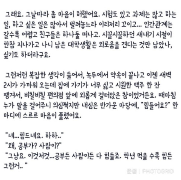 8만명을 감동시킨 대나무숲 레전드글