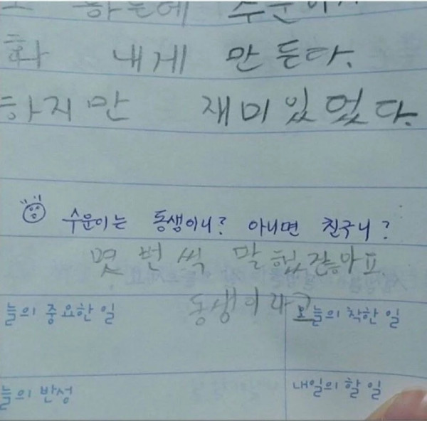 일기장 검사받고 화난 초등학생