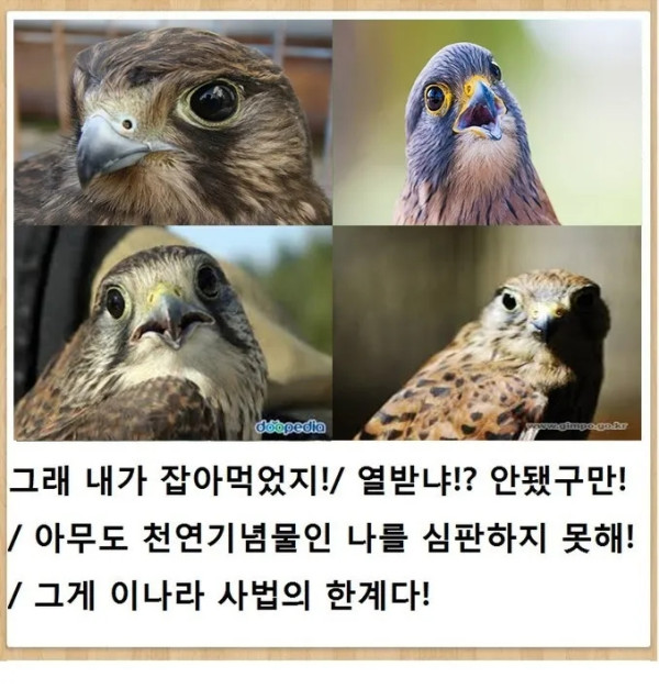 세상에 이런일이 레전드