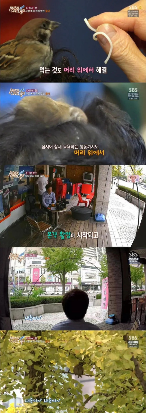 세상에 이런일이 레전드