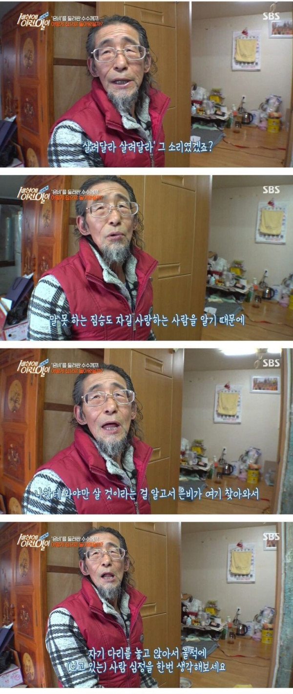 잘린 다리 물고 온 고양이