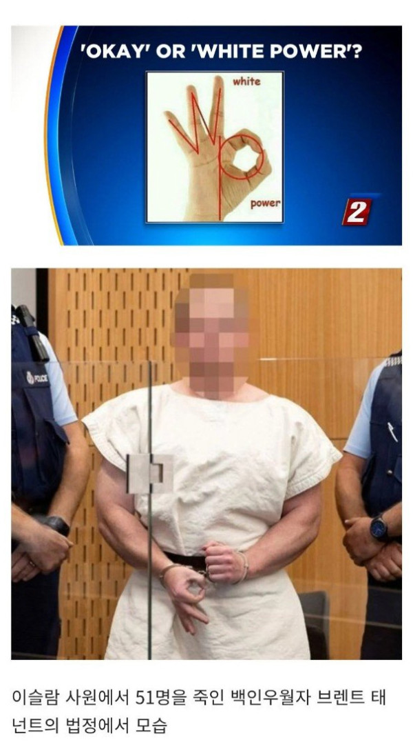 여동생을 죽인 백인우월주의자가 한 제스쳐