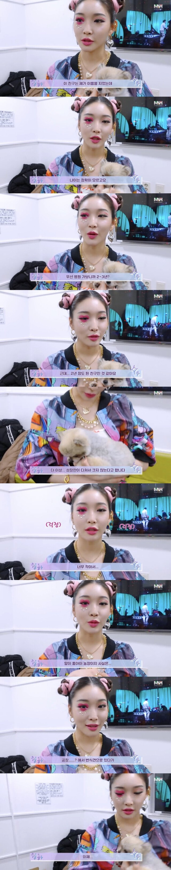 청하가  임시보호중인 강아지