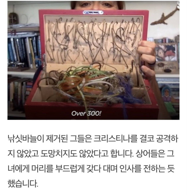 낚시바늘빼준 여성에게 몰려드는상어들