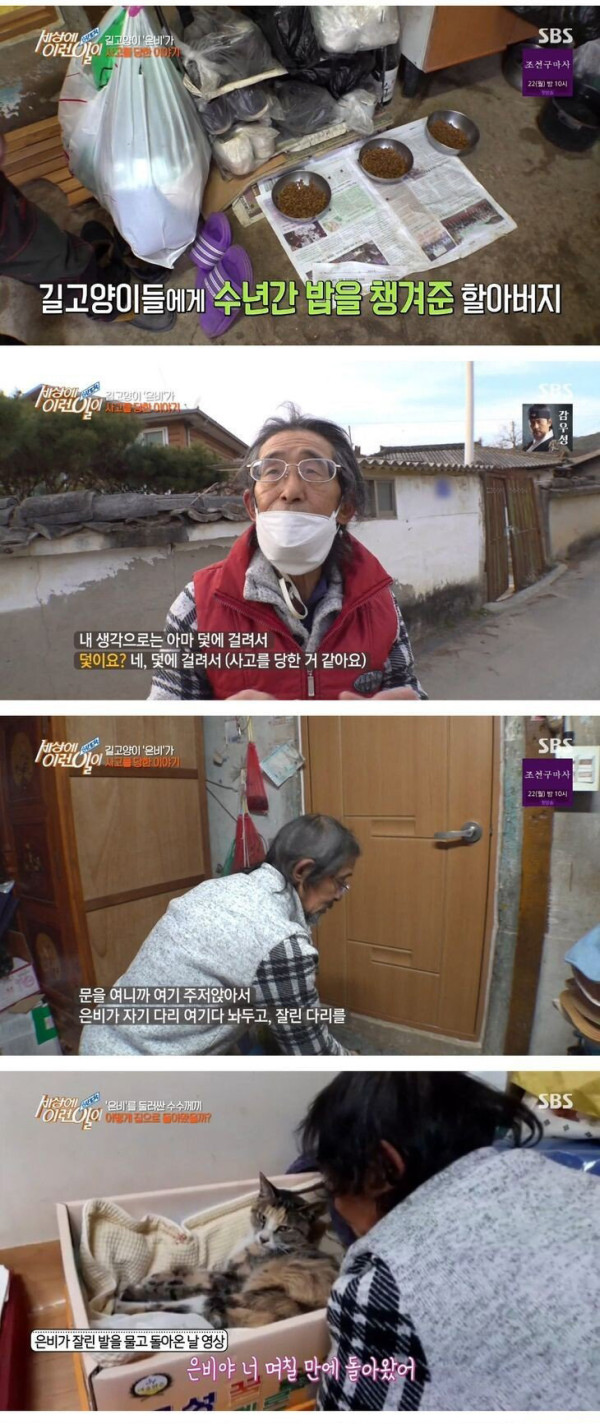 잘린 다리 물고 온 고양이