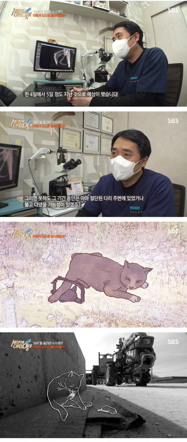 잘린 다리 물고 온 고양이