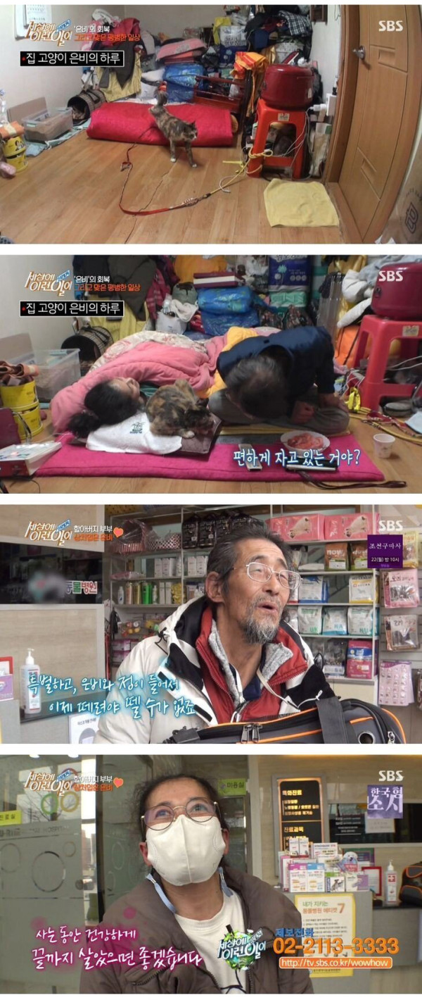 잘린 다리 물고 온 고양이