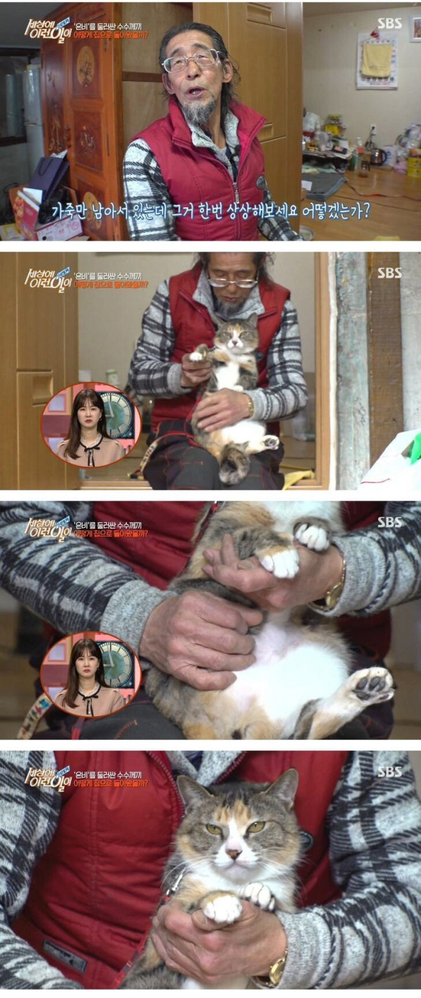 잘린 다리 물고 온 고양이