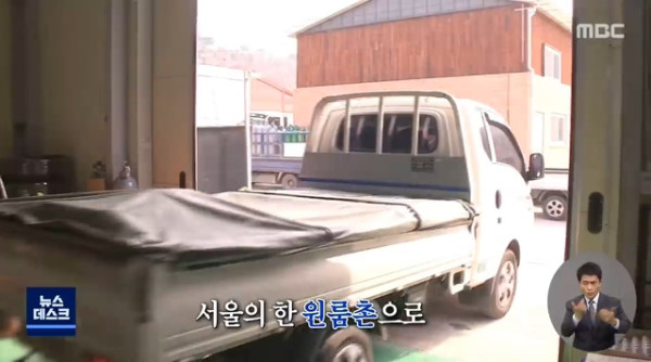 갈수록 늘고 있다는 청년들의 죽음