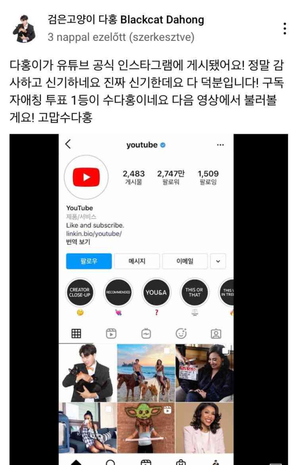 박수홍네 다홍이 근황