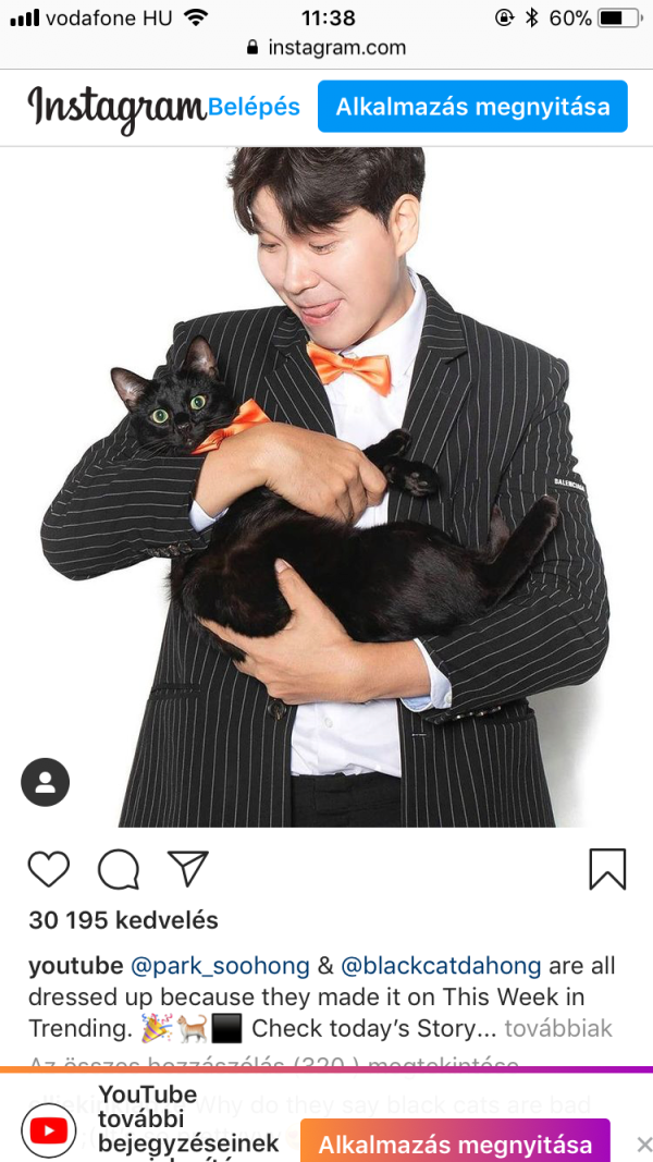 박수홍네 다홍이 근황