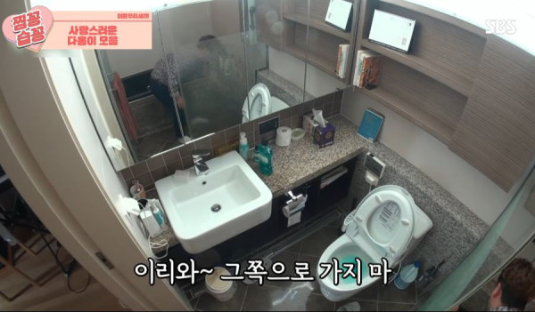 박수홍 고양이가 영리하다고 하는 이유