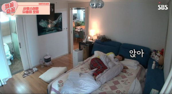 박수홍 고양이가 영리하다고 하는 이유