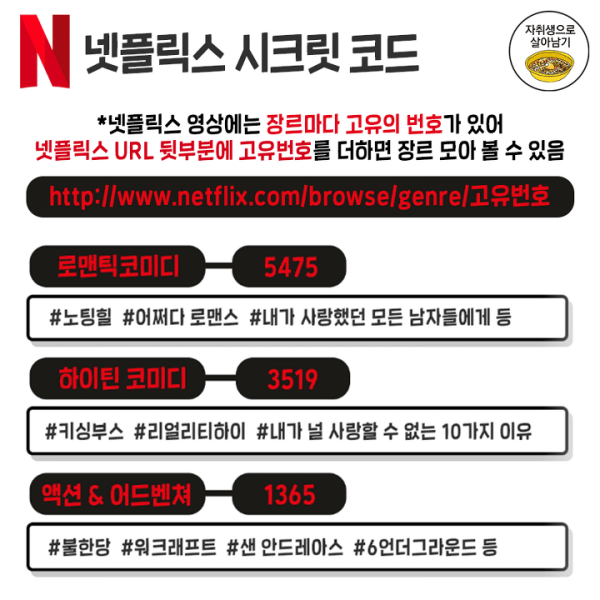넷플릭스 이용시 참고하면 좋은 정보