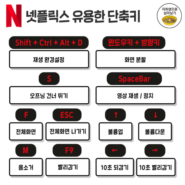 넷플릭스 이용시 참고하면 좋은 정보