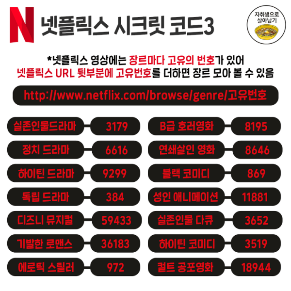 넷플릭스 이용시 참고하면 좋은 정보