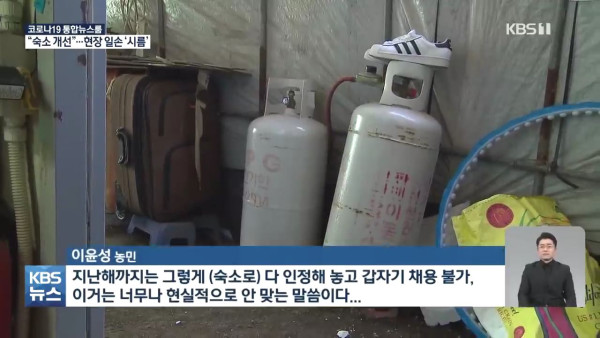 비닐하우스 숙소 금지에 농가는  발동동