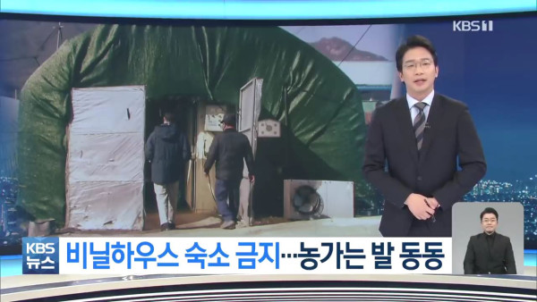 비닐하우스 숙소 금지에 농가는  발동동
