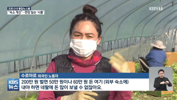 비닐하우스 숙소 금지에 농가는  발동동