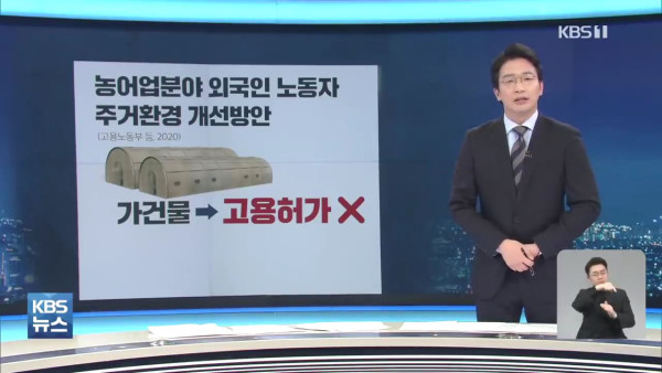 비닐하우스 숙소 금지에 농가는  발동동
