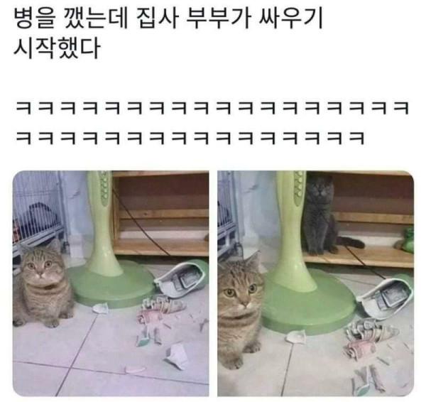 잘못은 내가 했는데...